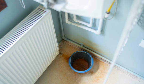 Best Water damage contractors near me  in Encantada Ranchito El Calaboz, TX