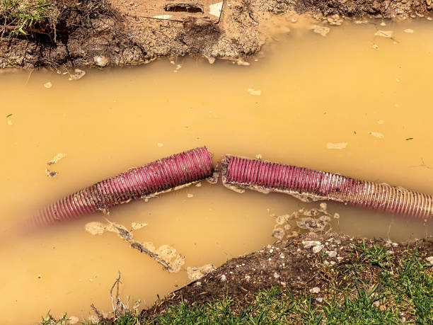 Local water damage restoration in Encantada Ranchito El Calaboz, TX